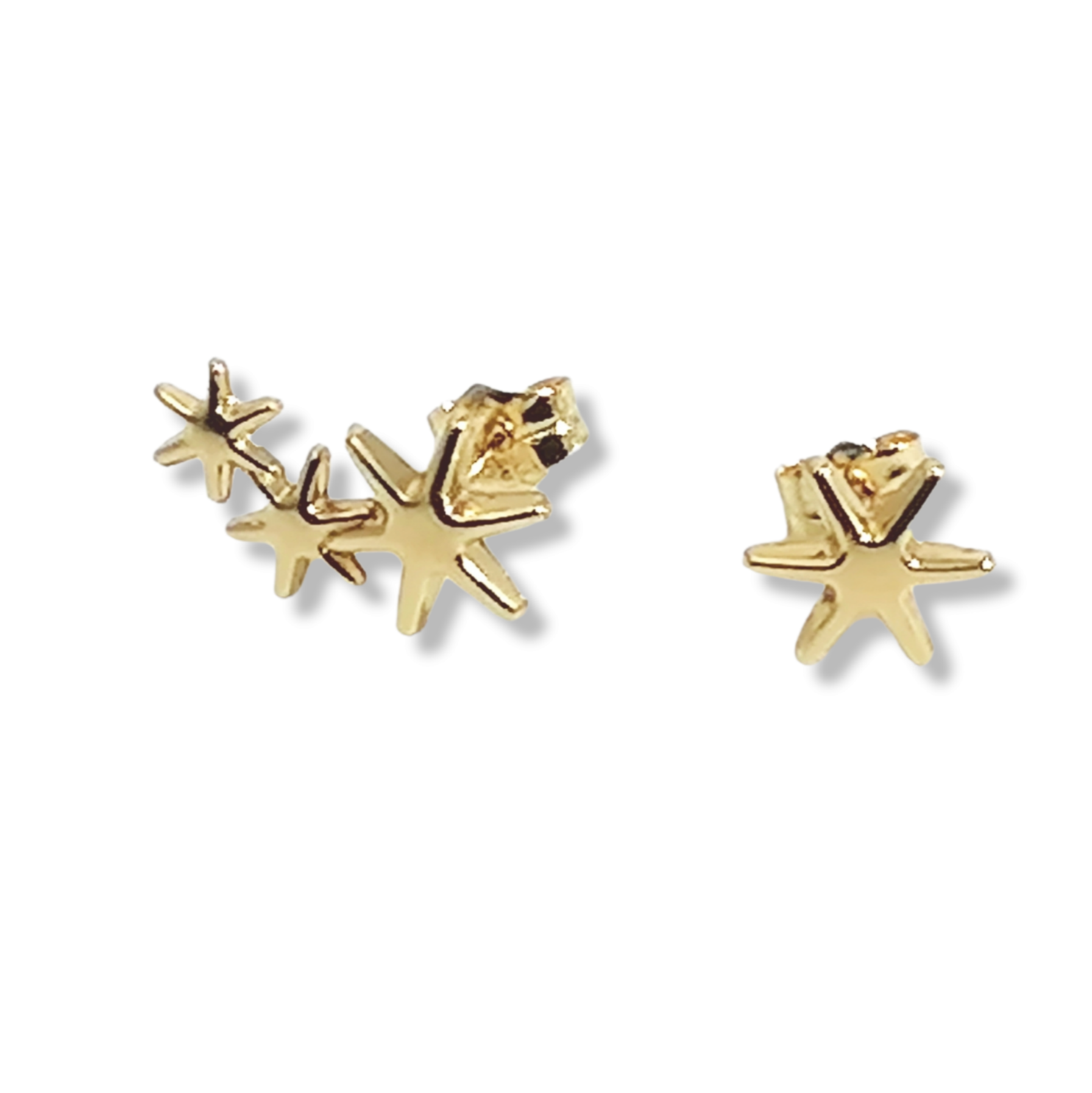 Trepador oro Estrella